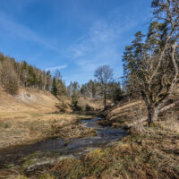 Leinleitertal_Tummler