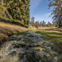 Leinleitertal_Tummler
